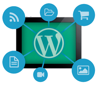Web Design Web Design